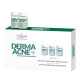 Farmona Dermaacne+ aktívny normalizačný koncentrát na tvár 5x5 ml Farmona Dermaacne+ aktívny normalizačný koncentrát na tvár 5x5 ml
