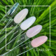CLARESA COVER GEL 15 g CLARESA COVER GEL 15 g