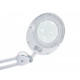 Kozmetická lupa lampa Elegante 6025 60 LED SMD 5D + statív, biela Kozmetická lupa lampa Elegante 6025 60 LED SMD 5D + statív, biela
