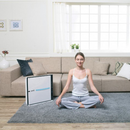 Therapy Air® Ion Therapy Air® Ion